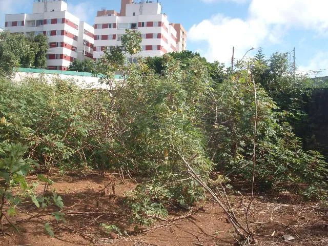Terreno Padrão em Uberlândia - Foto 5
