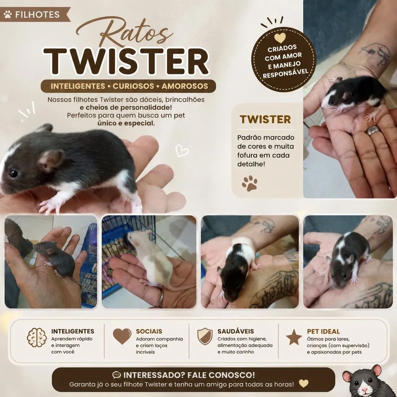Twister disponíveis  - Foto 2