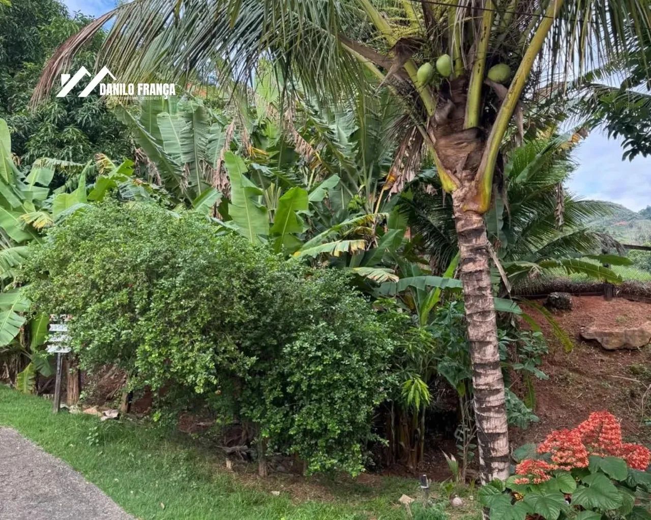 sitio em Iguape - Foto 13