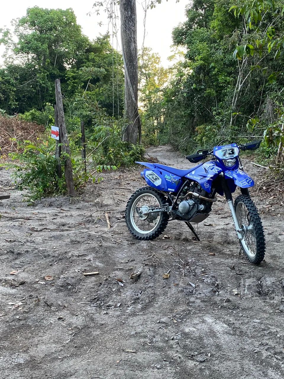 TTR 230 2024 - Foto 2