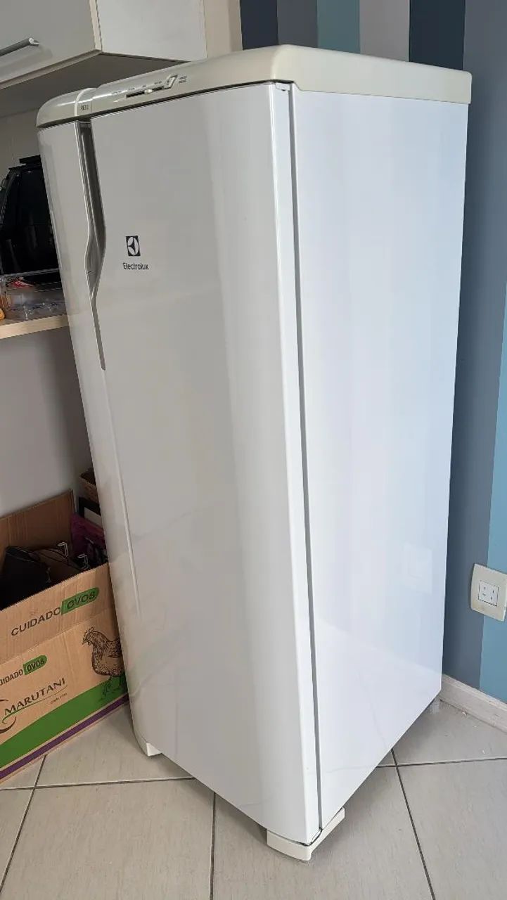 Geladeira Electrolux RE31