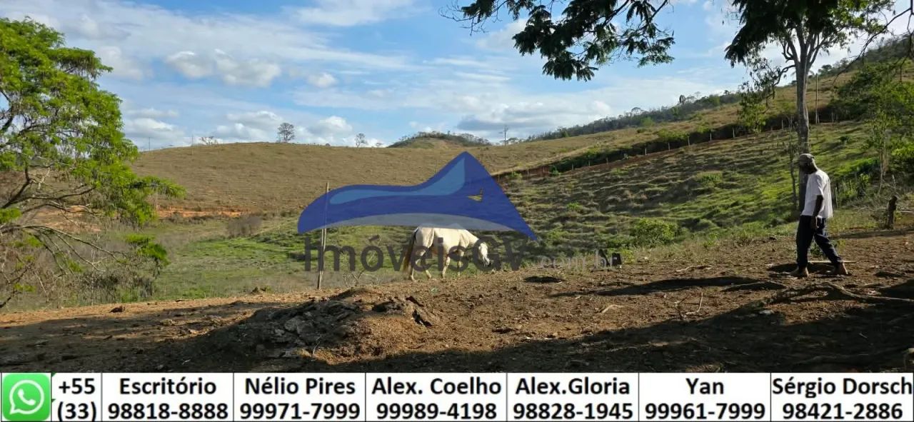Fazenda - Itambacuri - Foto 4