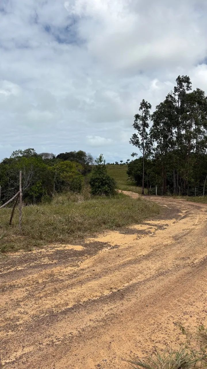 Terreno a venda. - Foto 5
