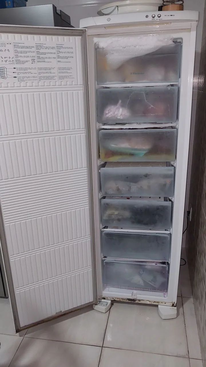 Freezer Electrolux RE 26 - Foto 2