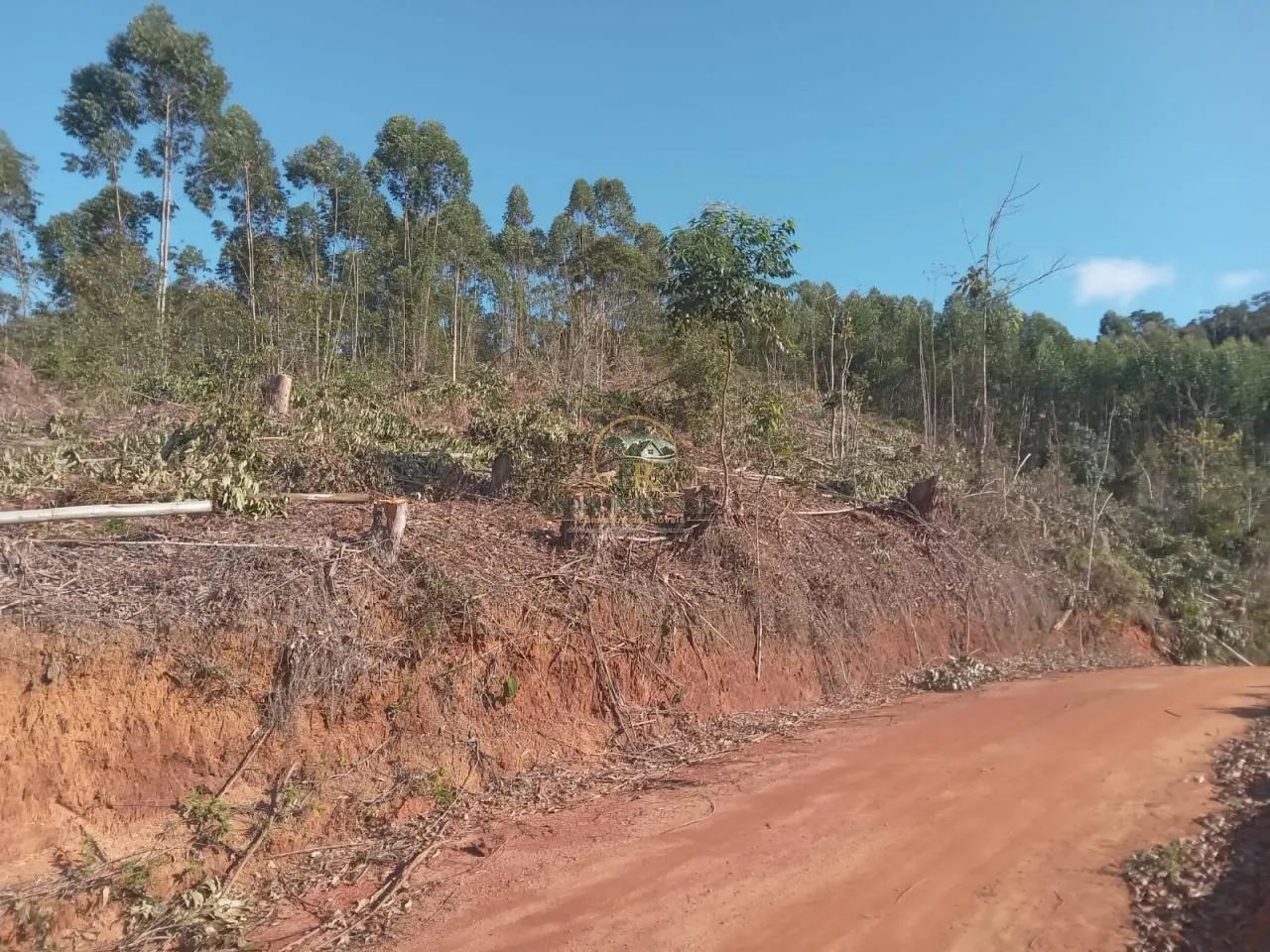 Terreno de 4 hectares em Santa Teresa - E.S. - Foto 3