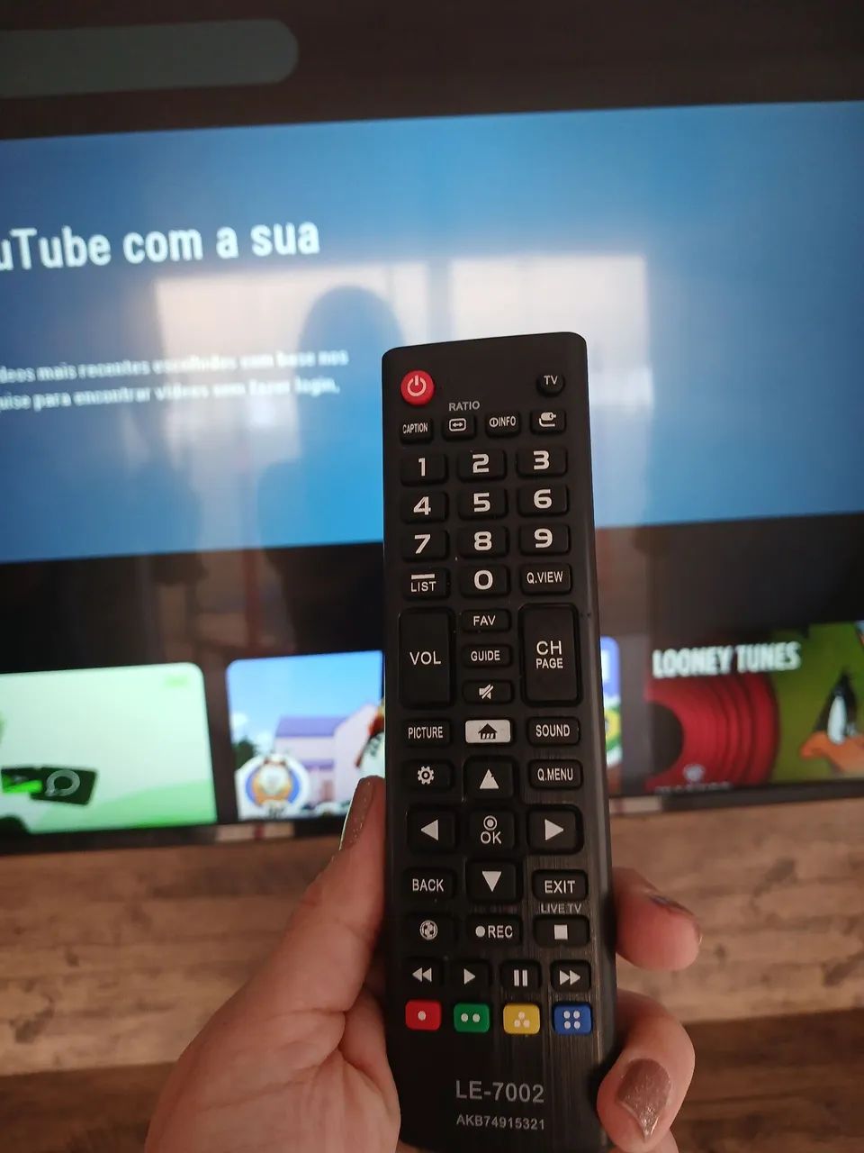 Tv 42 LG - Foto 5