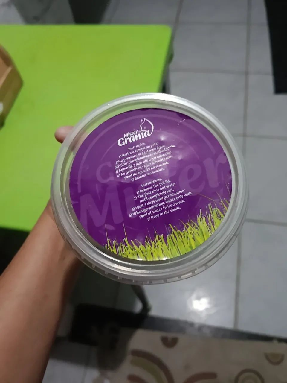Grama para gatos de apartamento  - Foto 2