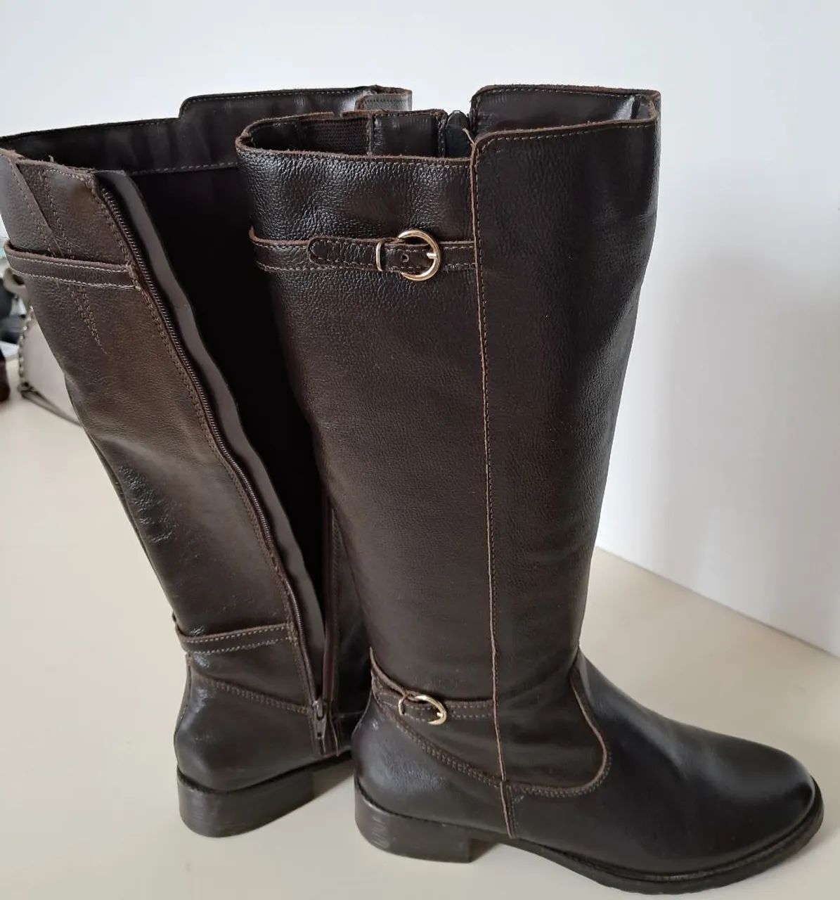 BOTA MONTARIA