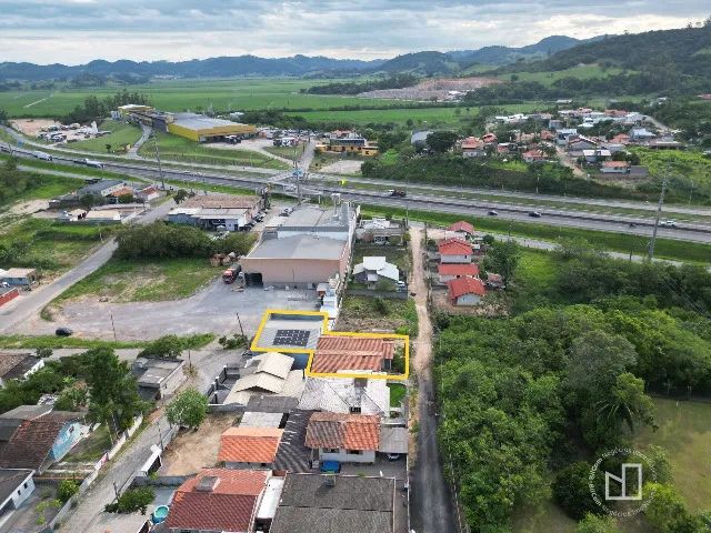 Foto - Tubarão - São Cristóvão