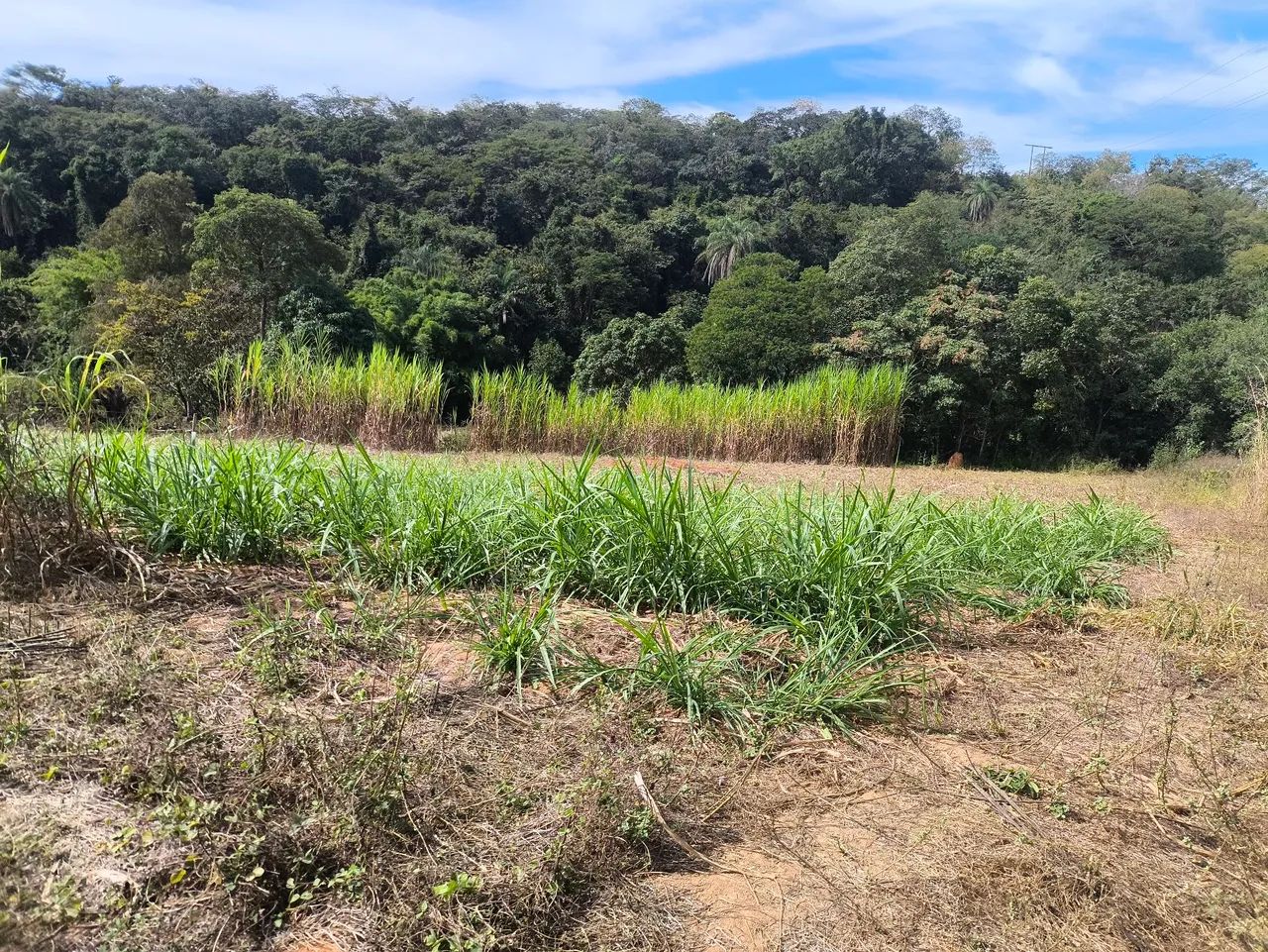 Terreno em FUNILÂNDIA  - Foto 3