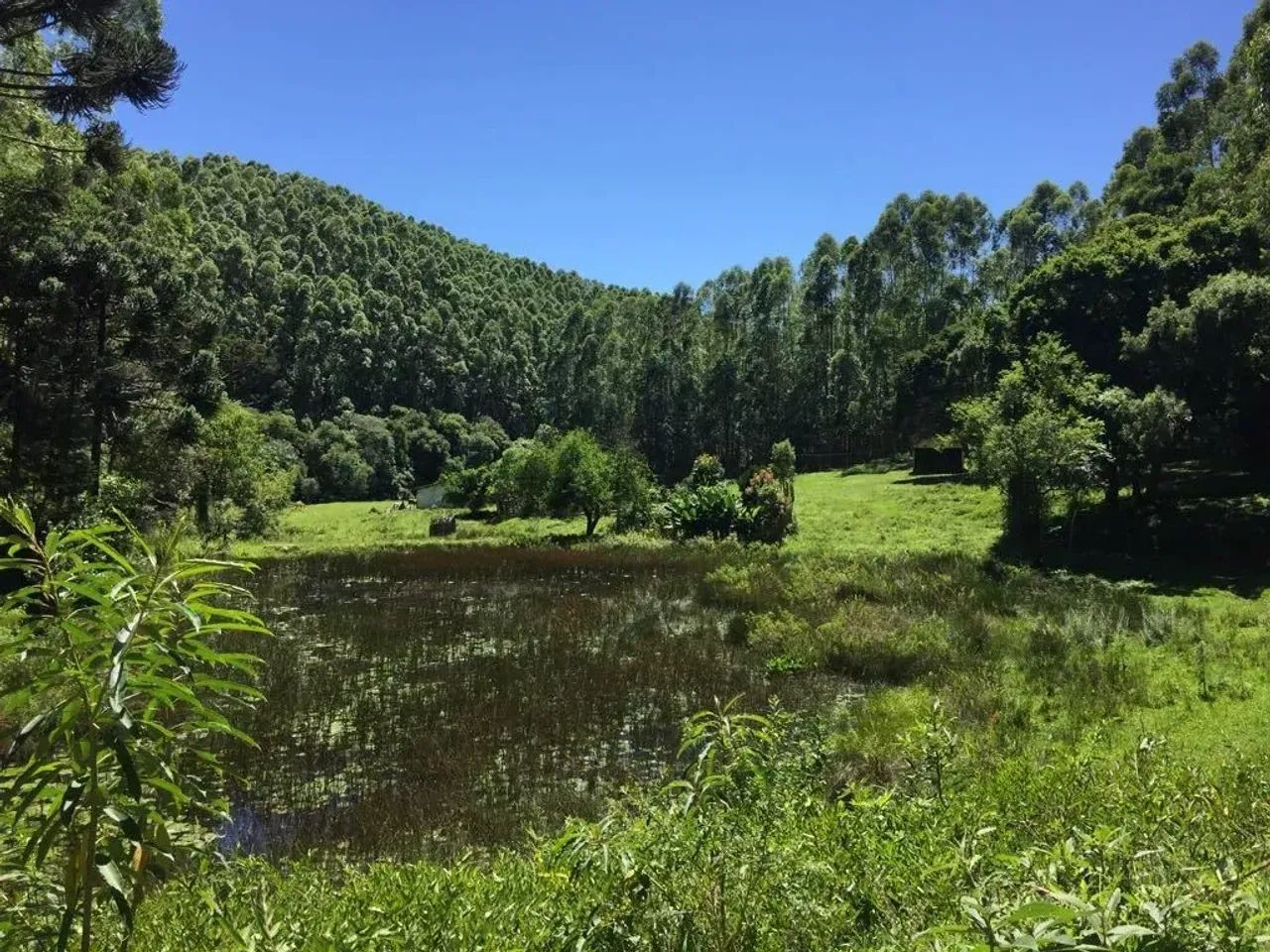 Fazenda   em Ribeirão Branco SP - Foto 2