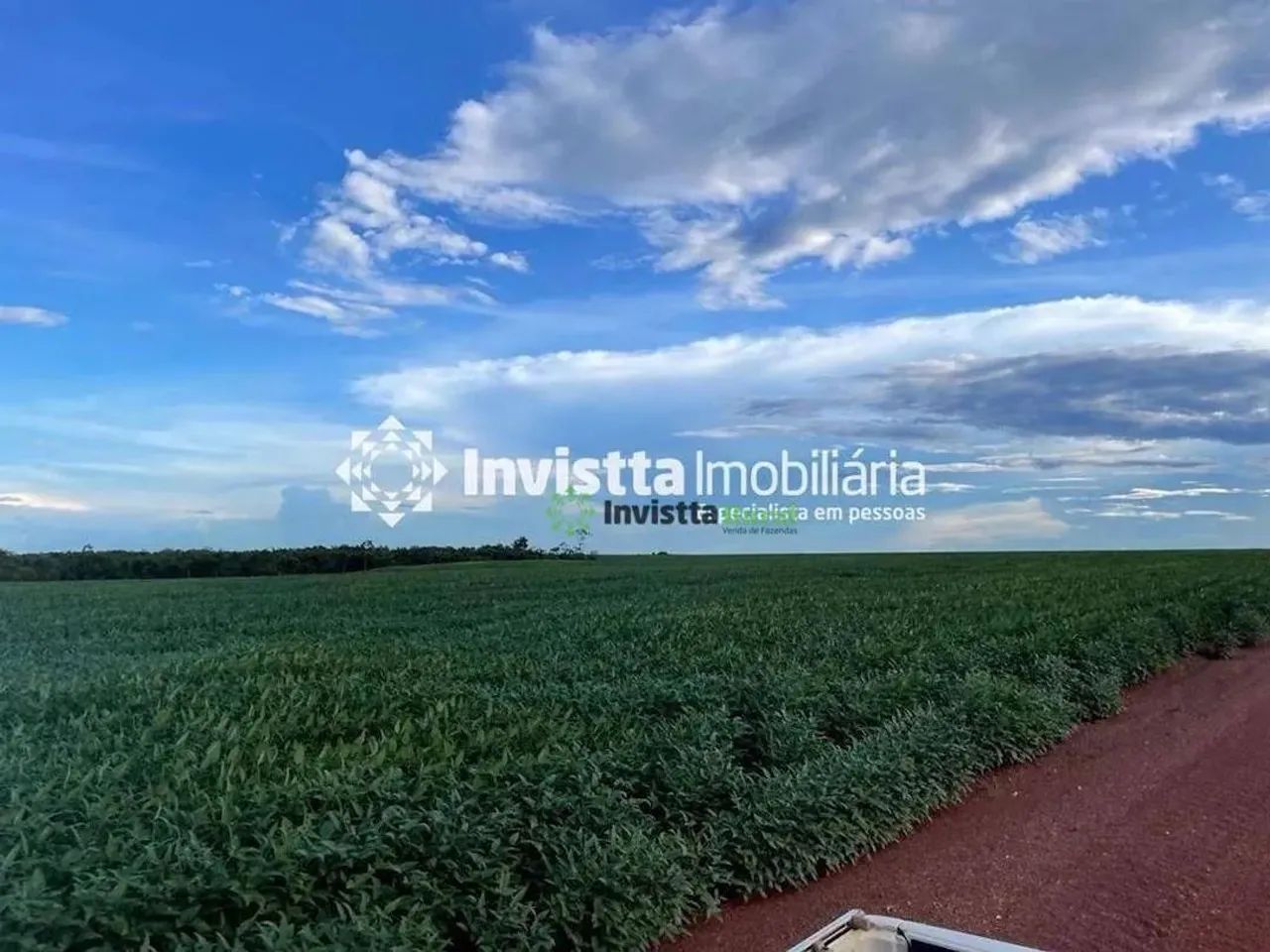 Fazenda de 940 alqueires com lavoura de soja e infraestrutura completa - Foto 4