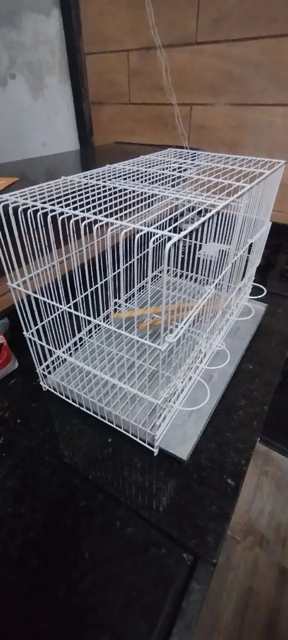 Gaiola criadora canário belga pintura epoxi - Foto 3