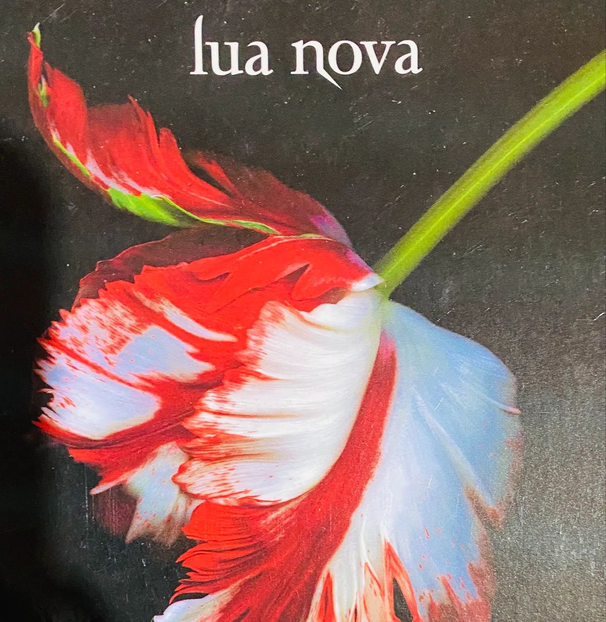 Livro da saga Crepúsculo :Lua Nova  - Foto 3