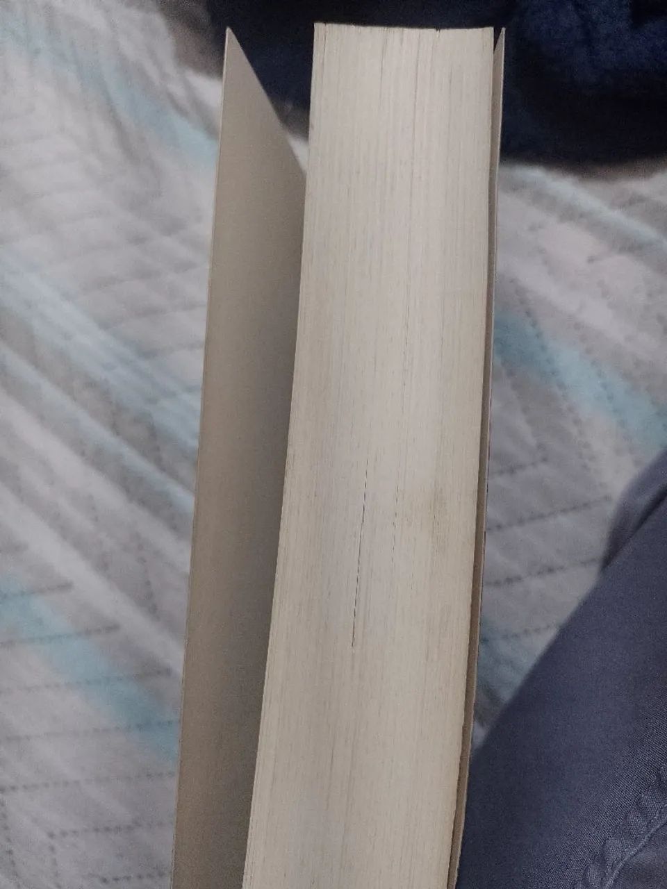 Drácula de Bram Stoker - Foto 3