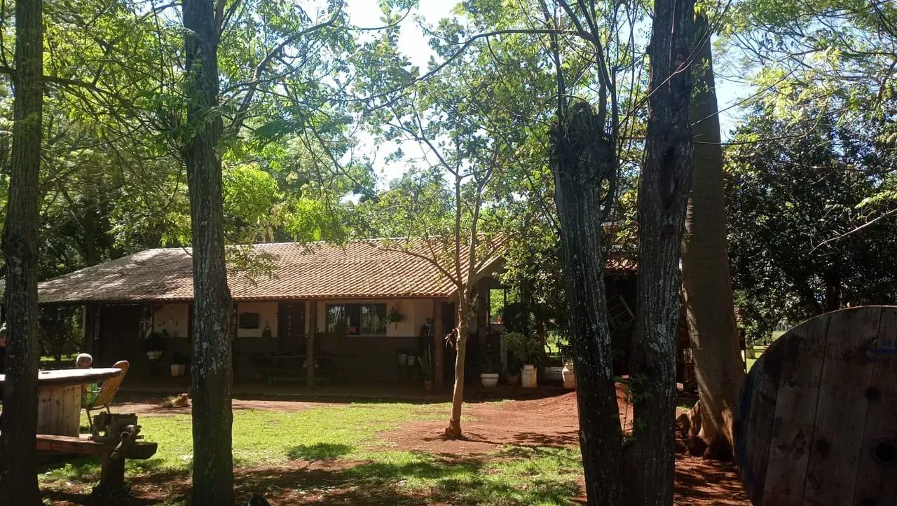 CÓD199  Chácara 10 ha | Indubrasil  Campo Grande/MS - Foto 4