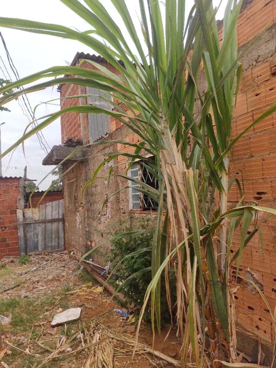 Vendo lote com barracos no recanto das emas  - Foto 5