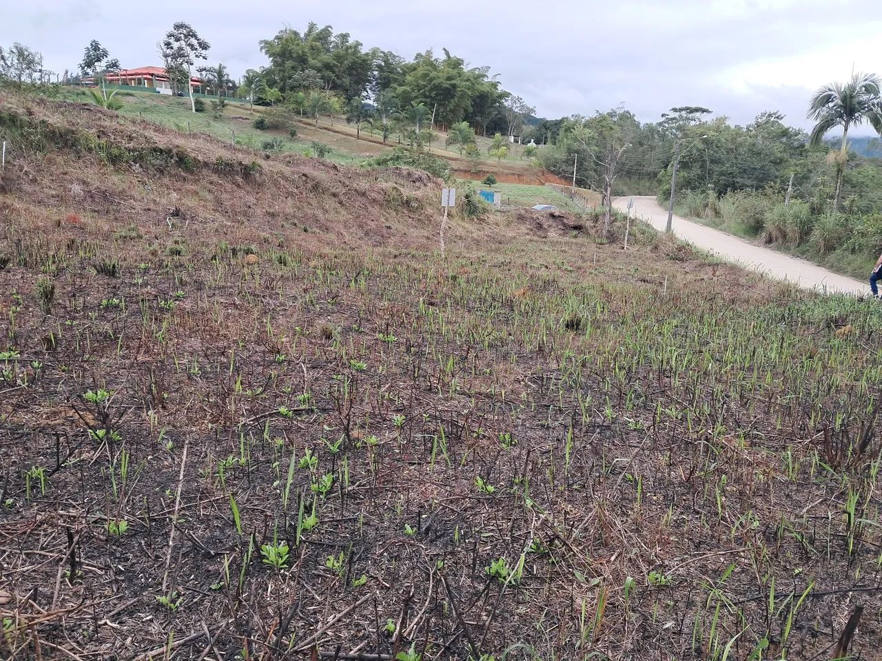 chácara e terrenos Pedro toledo - Foto 2