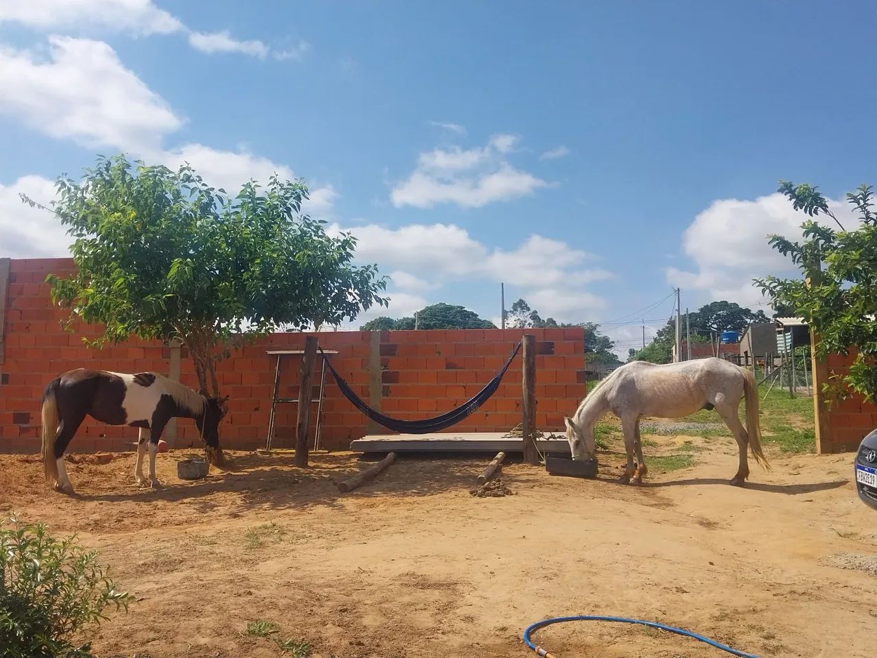 Vendo cavalo manso pra criança faço troca algo que me enteressa ou venda no pix ou dinh ch - Foto 5