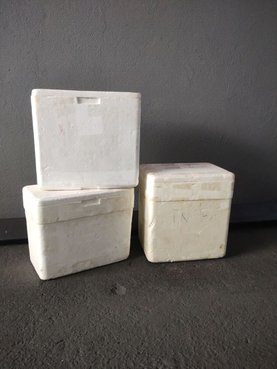 Caixa de isopor 20 litros 