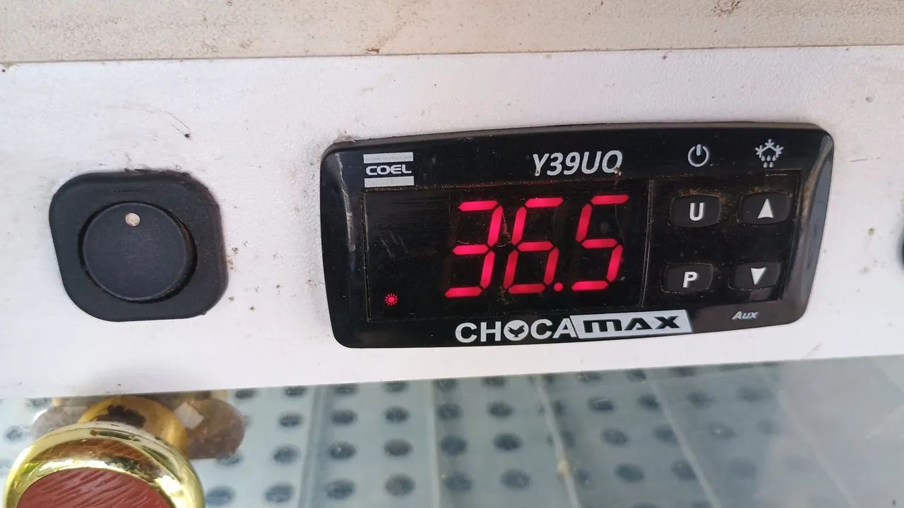 Chocadeira no precinho - Foto 4