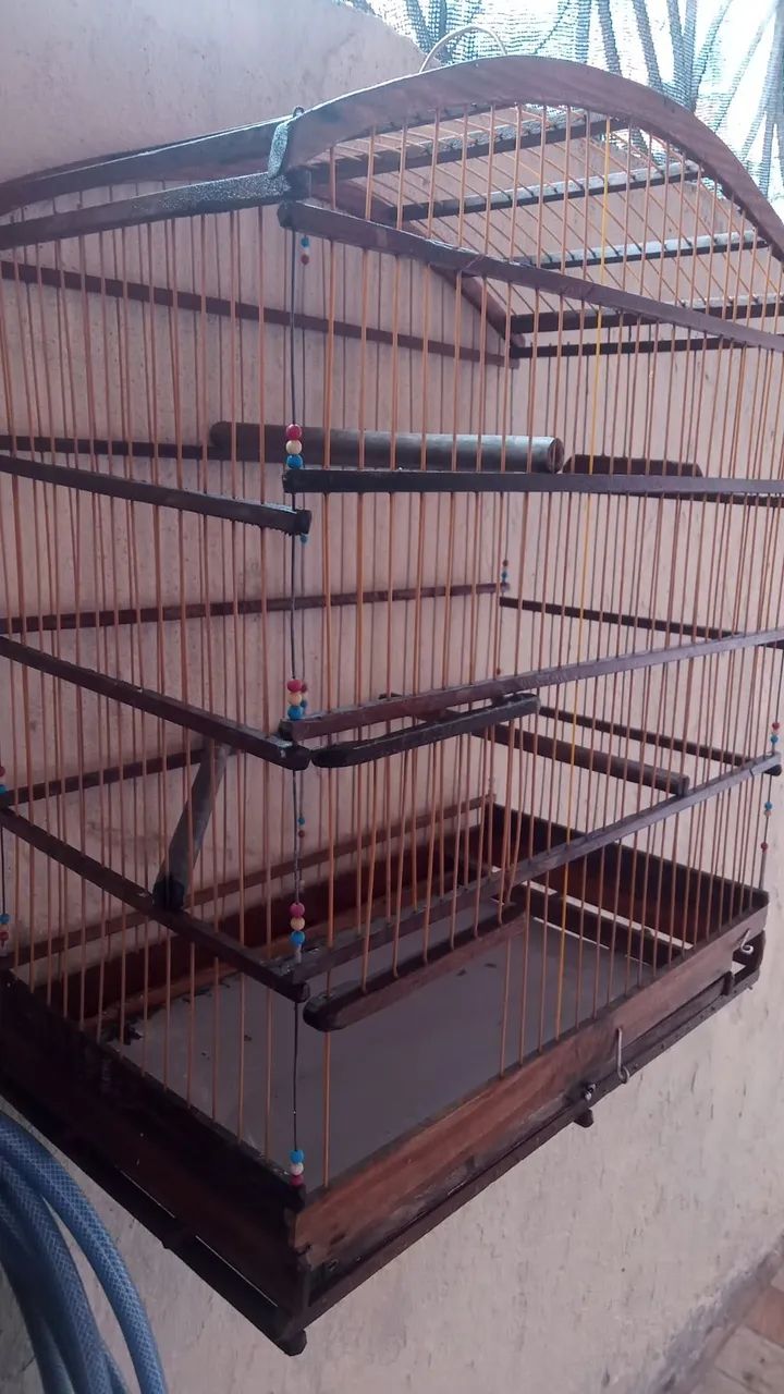 Gaiola enorme  - Foto 5