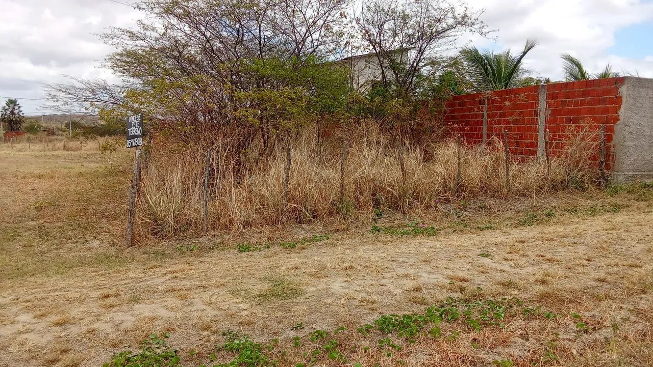 Terreno na Tabatinga Maranguape - Foto 3