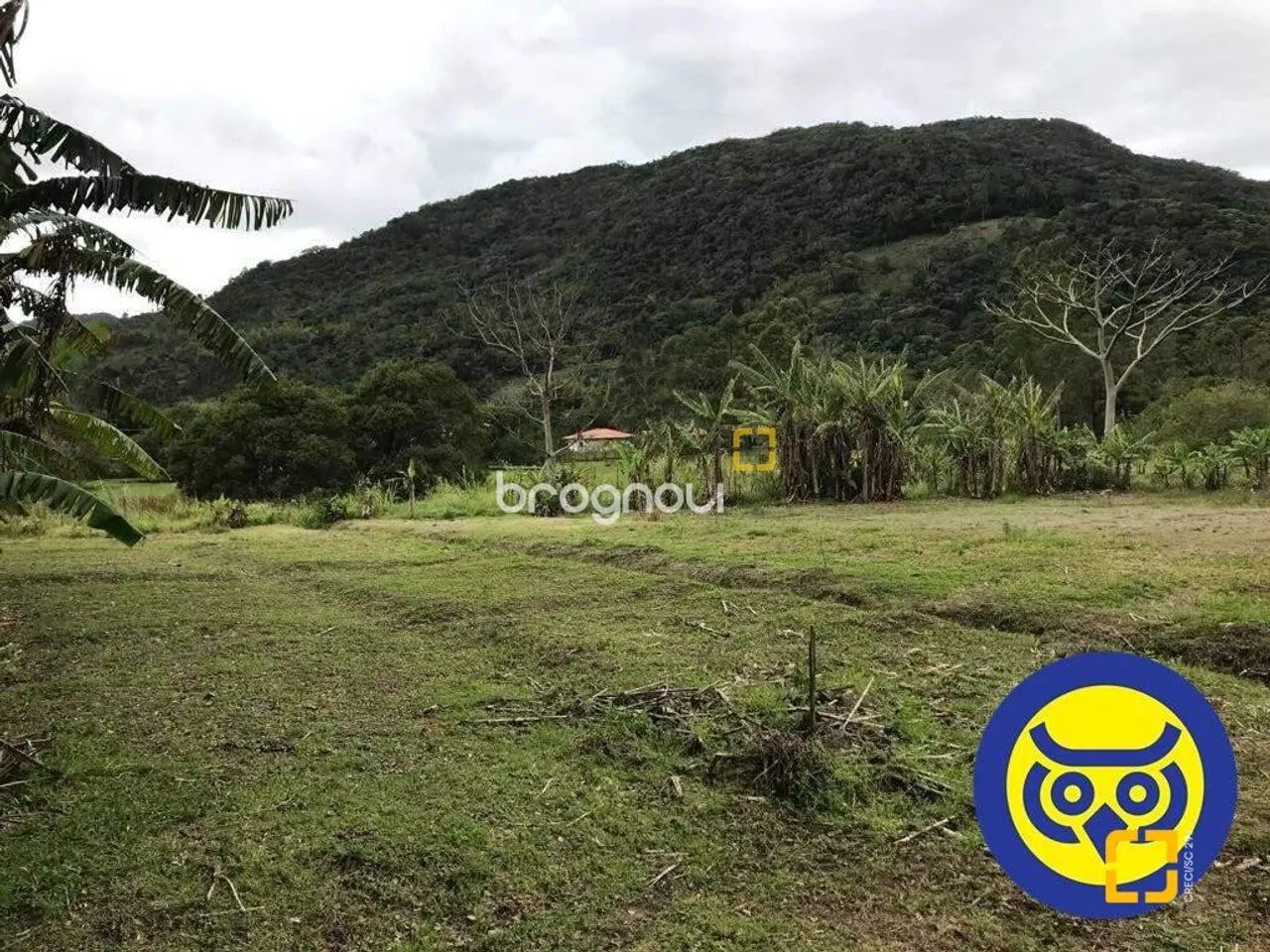 Lote/Terreno plano com 50.000m² - bairro Vargem Grande - Florianópolis SC