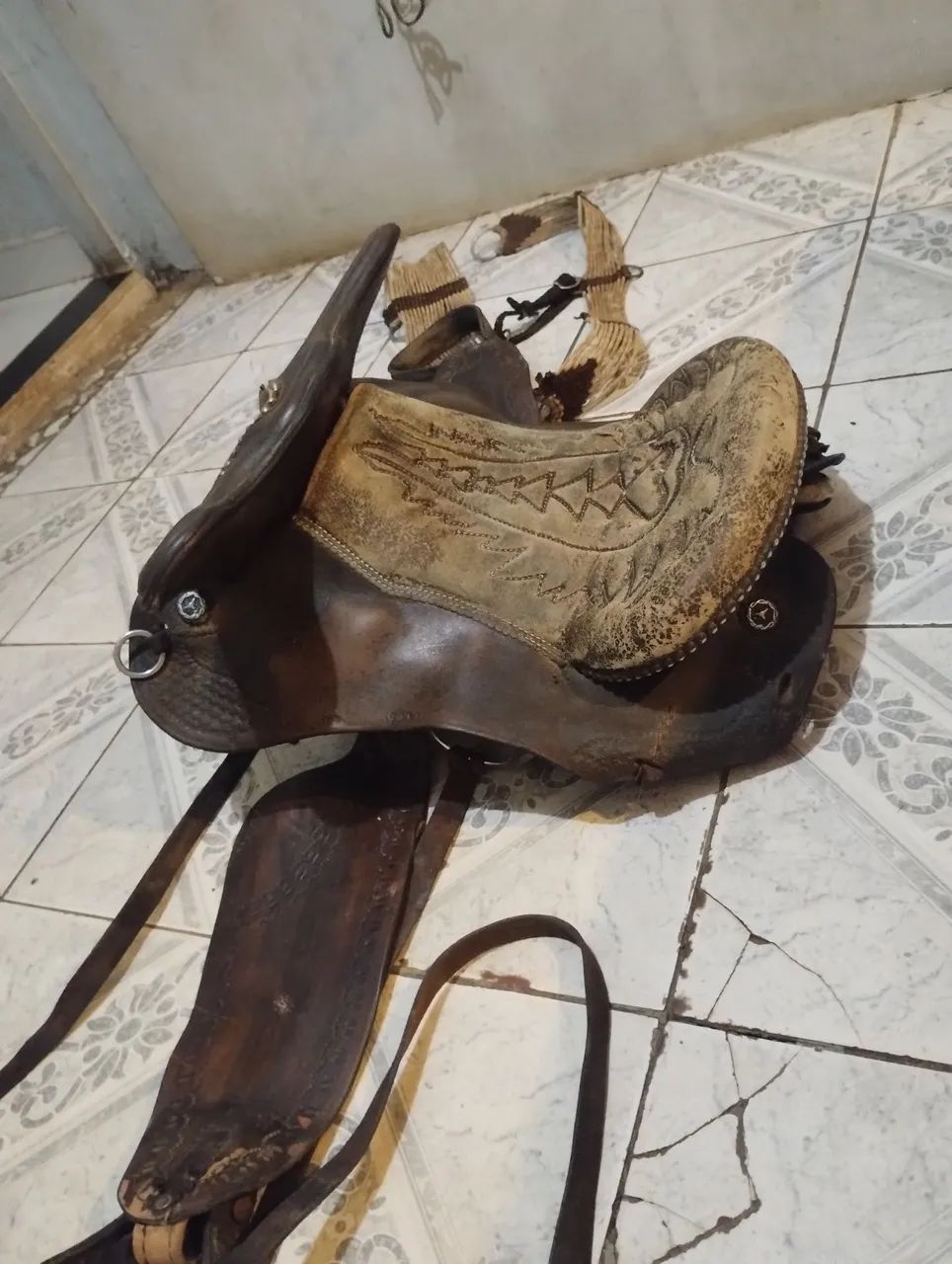 Cavalos e cela pra vender  - Foto 4