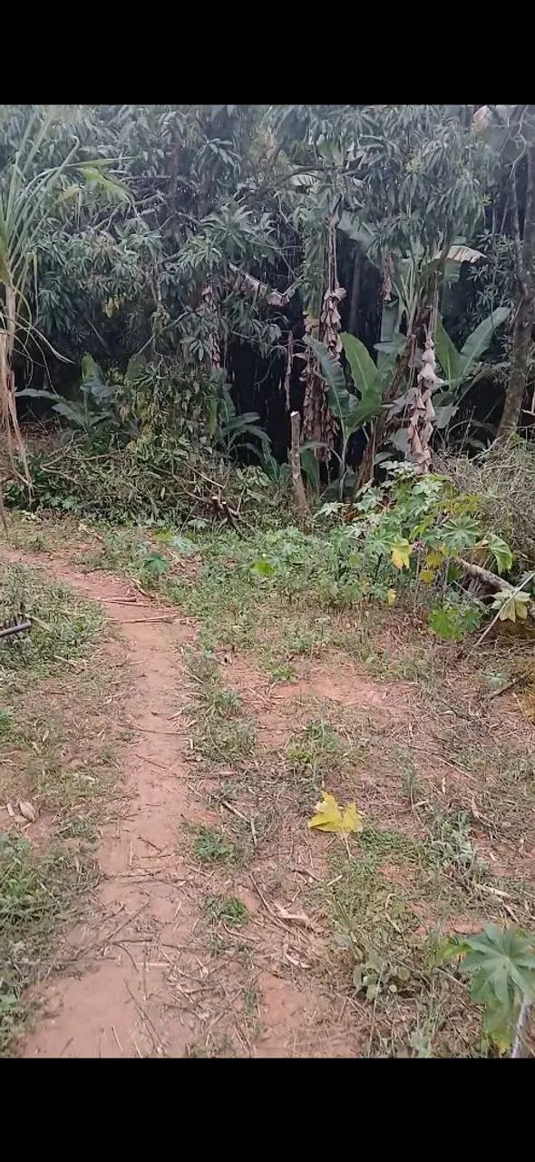 Lote - Terreno em Jeceaba-MG - Foto 4
