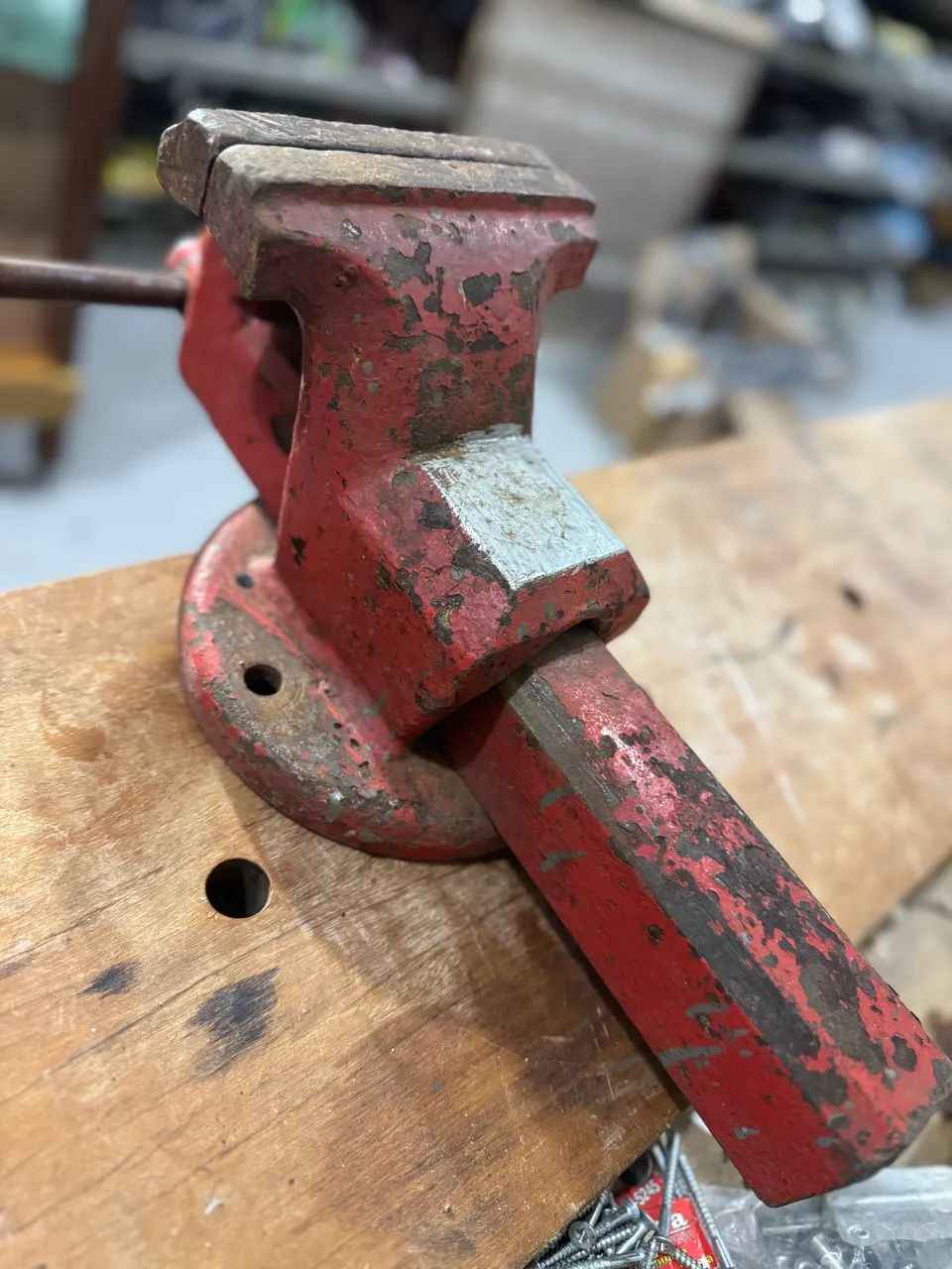 Morsa N 664985883896833123