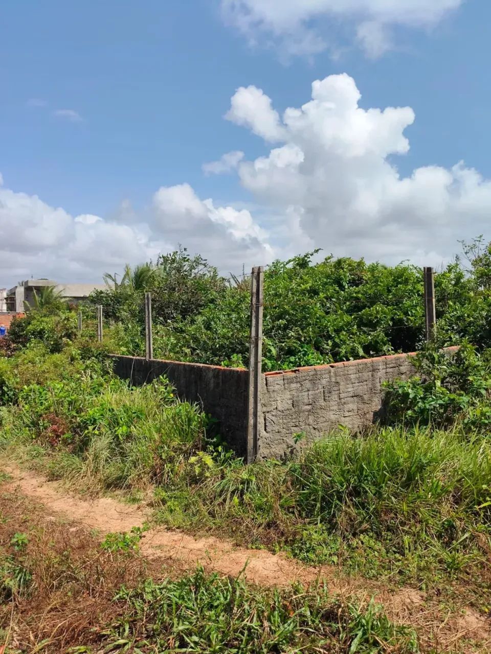 Praia Sagi Lotes Murados 900m2 - Foto 2