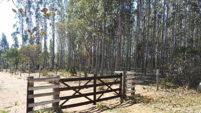 Chácara 14 km de Campo Grande - 9,8 hectares - Foto 2