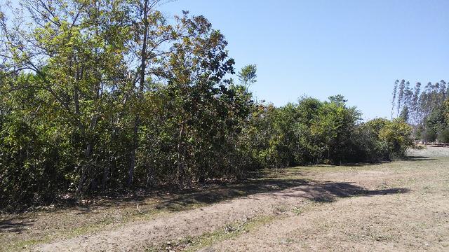 Chácara 14 km de Campo Grande - 9,8 hectares - Foto 17