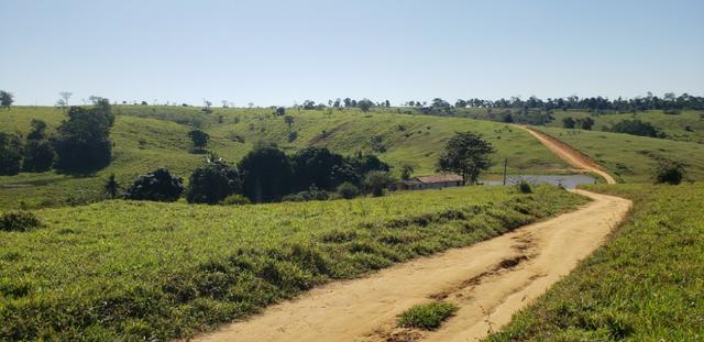 Fazenda a venda no extremo sul da bahia 170 ha - Foto 17