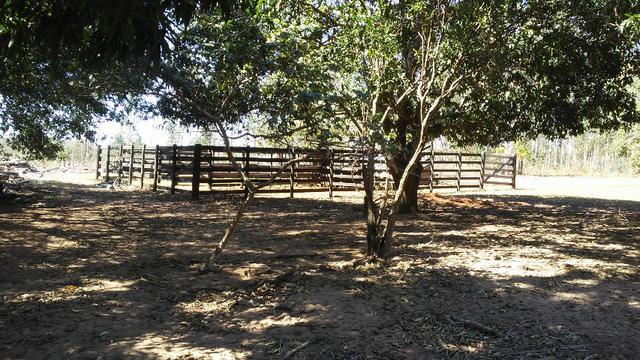 Chácara 14 km de Campo Grande - 9,8 hectares - Foto 9