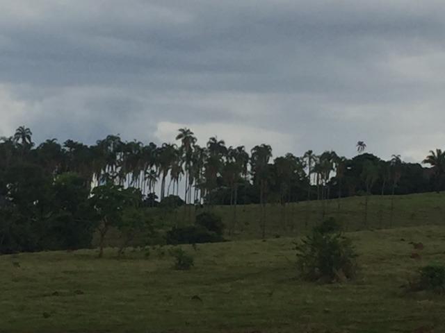 Sitio Inhumas go - Foto 4
