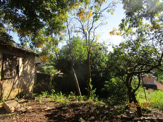 Mini sitio (barbada) na cidade de Porto Alegre na Avenida Cristiano Kraemer 3341 - Foto 12