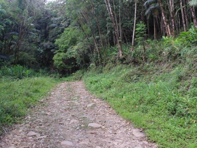 Área em Morretes - Foto 12