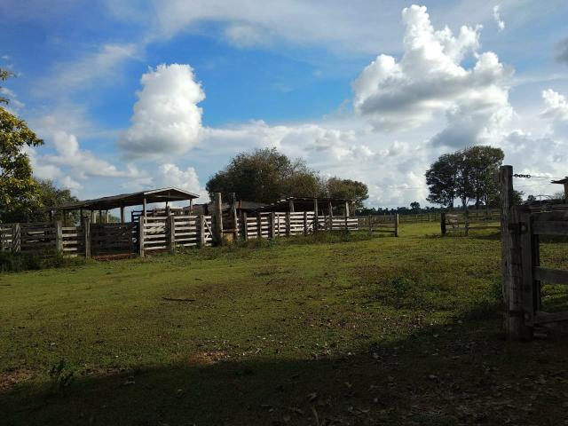 Fazenda 120 alqueires - Foto 5