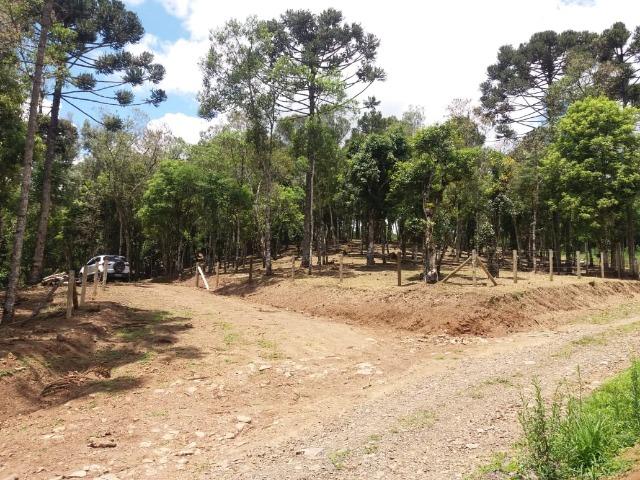 Terreno em Avenquiha - Campo Alegre, 30.000 m.² - Foto 13