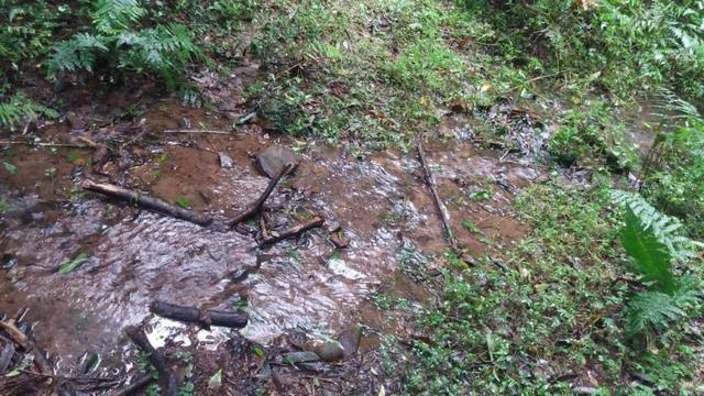 Terreno em Avenquiha - Campo Alegre, 30.000 m.² - Foto 2
