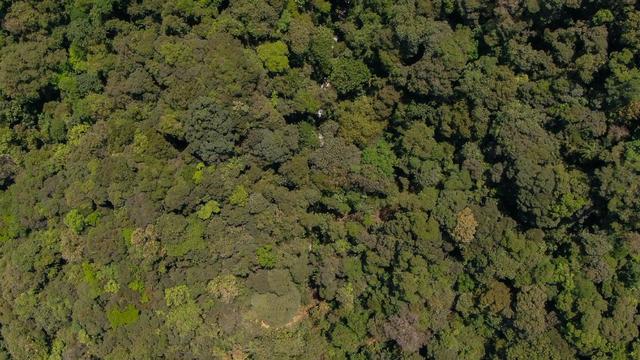 Área em Morretes - Foto 4