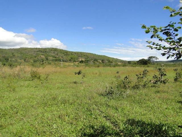Fazenda 157 hectares na beira do rio Parauna - Foto 4