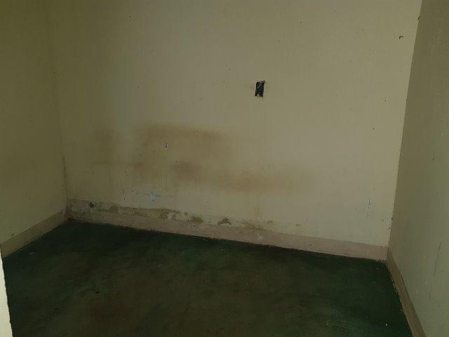 Casa de 2 Quartos - Escriturada com Barraco de Fundo - Aceita Proposta - Foto 9