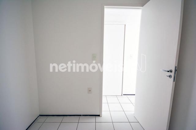 Apartamento para alugar com 3 dormitórios cod:776602 - Foto 6