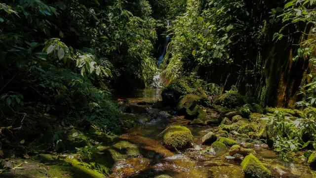 Área em Morretes - Foto 7