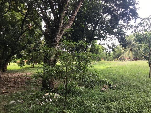 Vendo área na Estrada de Ribamar(6 Hectares) - Foto 5