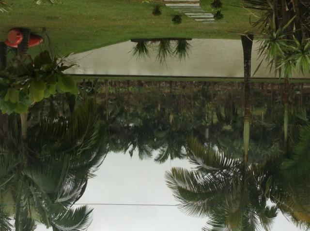 Alugo Chácara por dia em Guaramirim - Foto 15