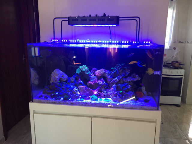 Aquario Marinho 200 litros